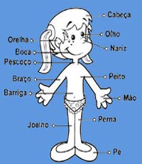 Body Parts in Portuguese Body Parts in Portuguese
